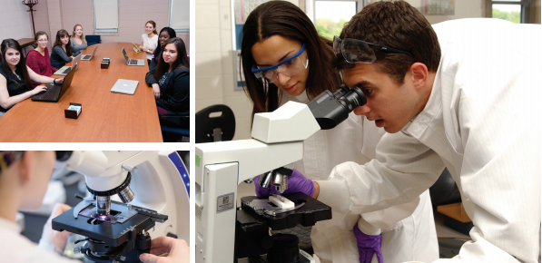 Medical Diagnostics Pre-Physicians Assistants students conduct research Medical Diagnostics Pre-Physicians Assistants students conduct research